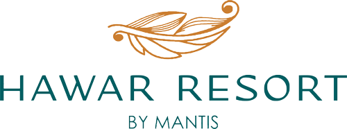 Alternative Unbranded logo